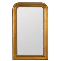 Drewry Medicine Cabinet Mirror