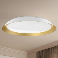 Ebert LED Ceiling Light