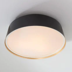ED Ellen DeGeneres Asher 3 Light Flush Mount