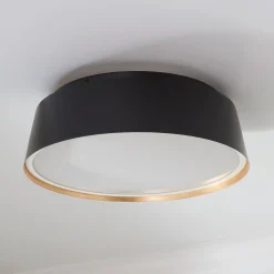 ED Ellen DeGeneres Asher 3 Light Flush Mount