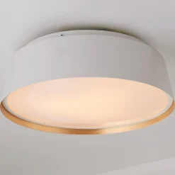 ED Ellen DeGeneres Asher 3 Light Flush Mount
