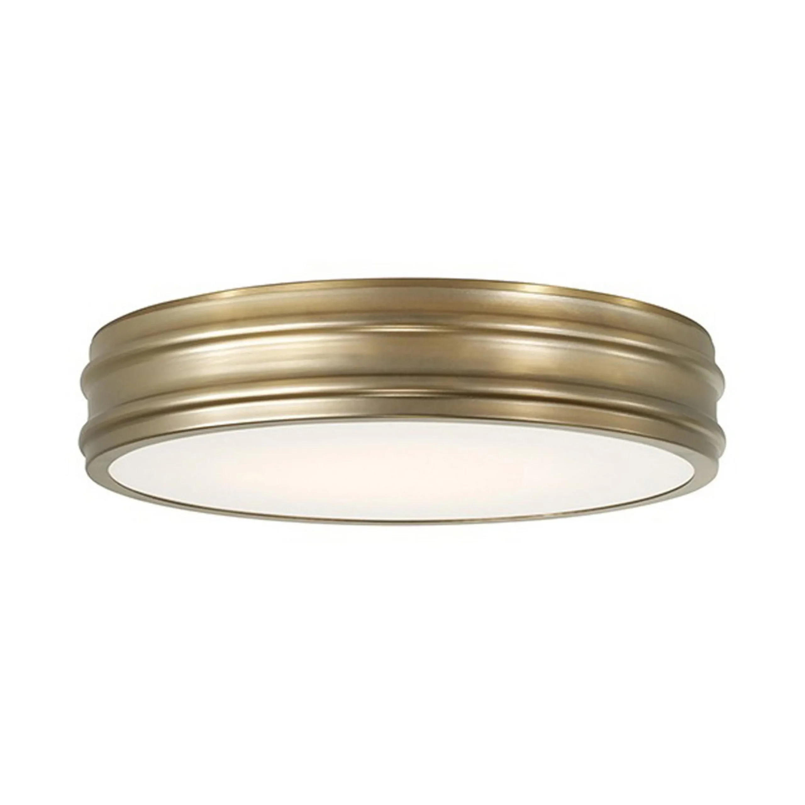 Elidi LED Ceiling Light