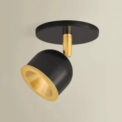 Eris Semi-Flush Convertible LED Ceiling Light