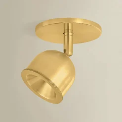 Eris Semi-Flush Convertible LED Ceiling Light