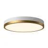 Erwina LED Round Ceiling Light - Large
