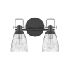 Ethridge Vanity Light - 2 Light