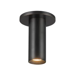 Evander LED Ceiling Light