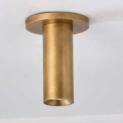 Evander LED Ceiling Light