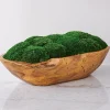 Forest Floor Centerpiece