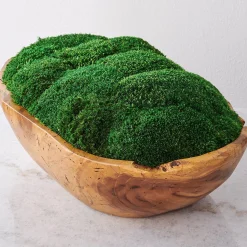 Forest Floor Centerpiece