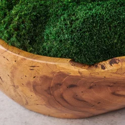 Forest Floor Centerpiece