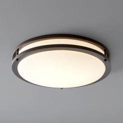 Formed Steel Wall and Ceiling Light - Large
