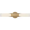 Gibbous LED Vanity Light - Small