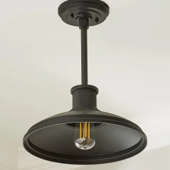 Gooseneck Warehouse Convertible Ceiling Light