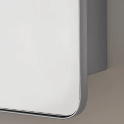 Ianua Medicine Cabinet Mirror
