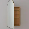 Ianua Medicine Cabinet Mirror