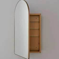 Ianua Medicine Cabinet Mirror