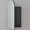Ianua Medicine Cabinet Mirror