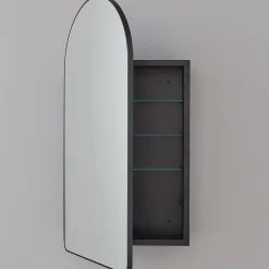 Ianua Medicine Cabinet Mirror
