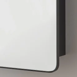 Ianua Medicine Cabinet Mirror