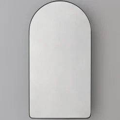 Ianua Medicine Cabinet Mirror