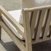 Inanna Indoor / Outdoor Lounge Chair