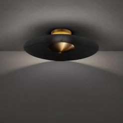 Ivano LED Convertible Ceiling Light
