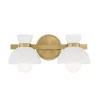 Janet Opaque Vanity Light - 2 Light