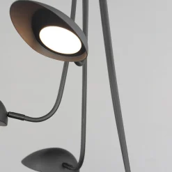 Ludisia LED Chandelier