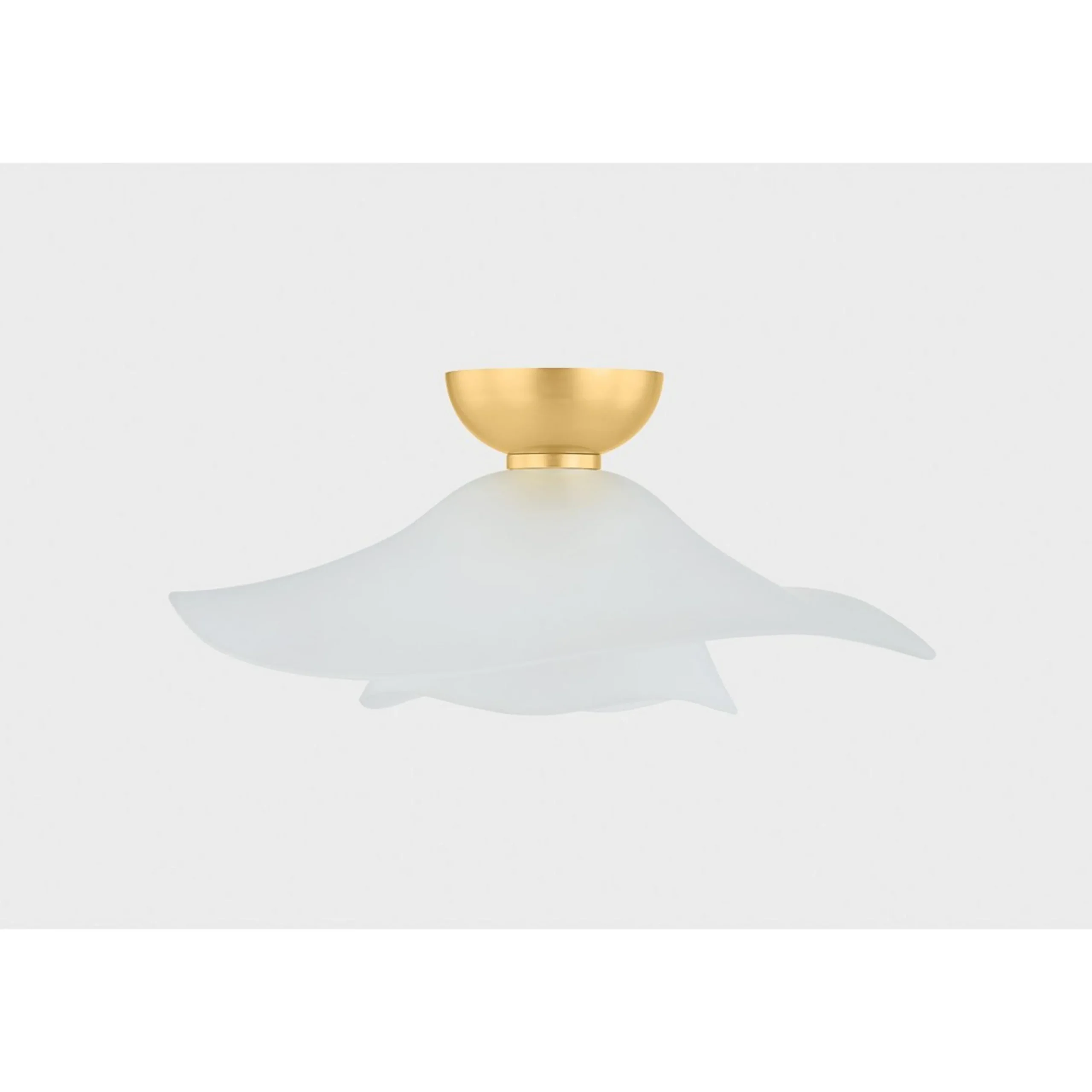 Maganda Ceiling Light