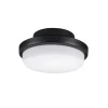 Melinoe Ceiling Fan Light Kit - Standard - Marine Grade