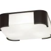 Meridian Ceiling Light