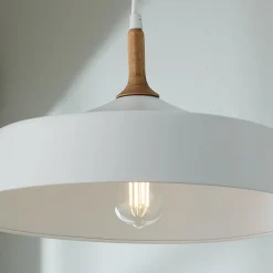 Metal and Natural Wood Pendant