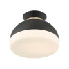 Milvus Ceiling Light