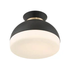 Milvus Ceiling Light