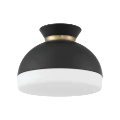 Milvus Ceiling Light