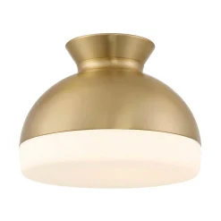 Milvus Ceiling Light