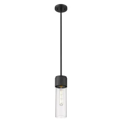 Mirza Clear Glass Pendant
