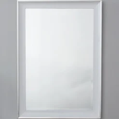 Modern Beveled Two-Toned Mirror
