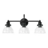 Montpelier Vanity Light - 3 Light - Clear
