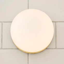 Mounted Globe Ring Bath Sconce - 1 Light