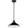Networked Outdoor Convertible Pendant