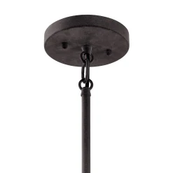 Networked Outdoor Convertible Pendant