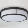 Oliver Ceiling Light - 3 Light
