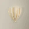 Phoebus Sconce