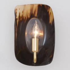 Polished Horn Sconce