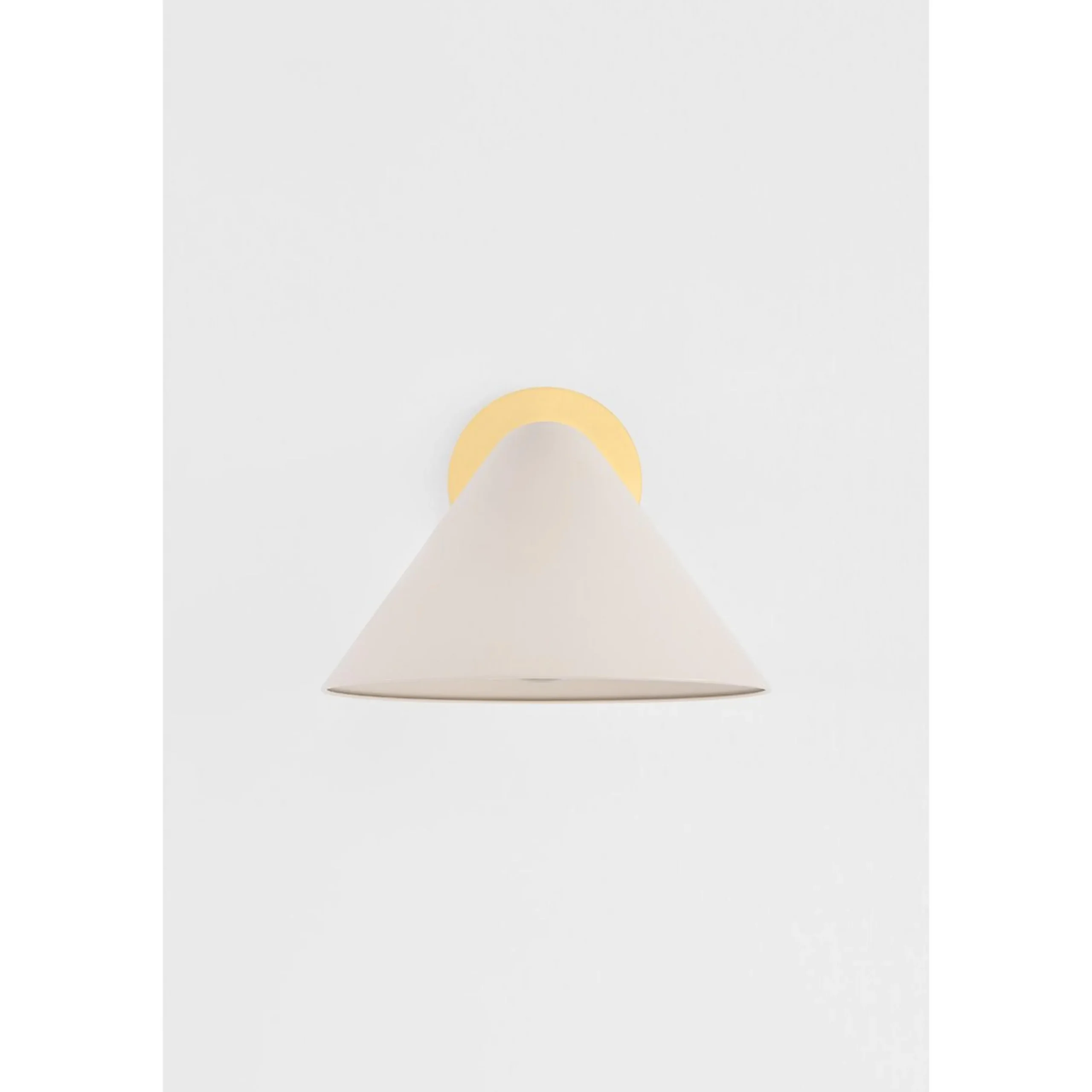 Rajani Swing Arm Sconce