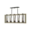 Rappahannock Indoor/Outdoor Linear Chandelier