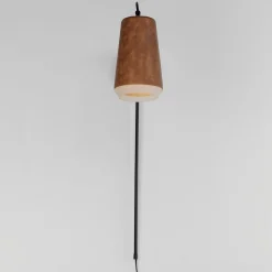 Ricardo LED Swing Arm