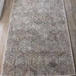 Ricci Rug